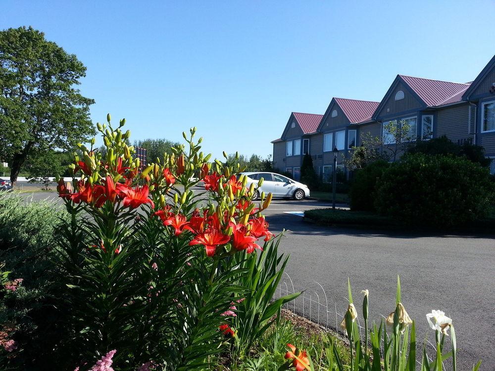 Granite Town Hotel Saint George Eksteriør billede